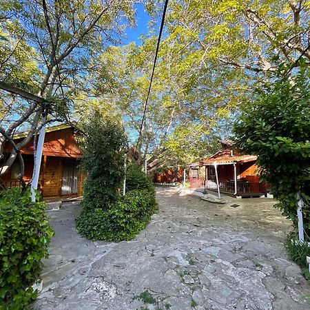 Cabanas De נרפיו מראה חיצוני תמונה