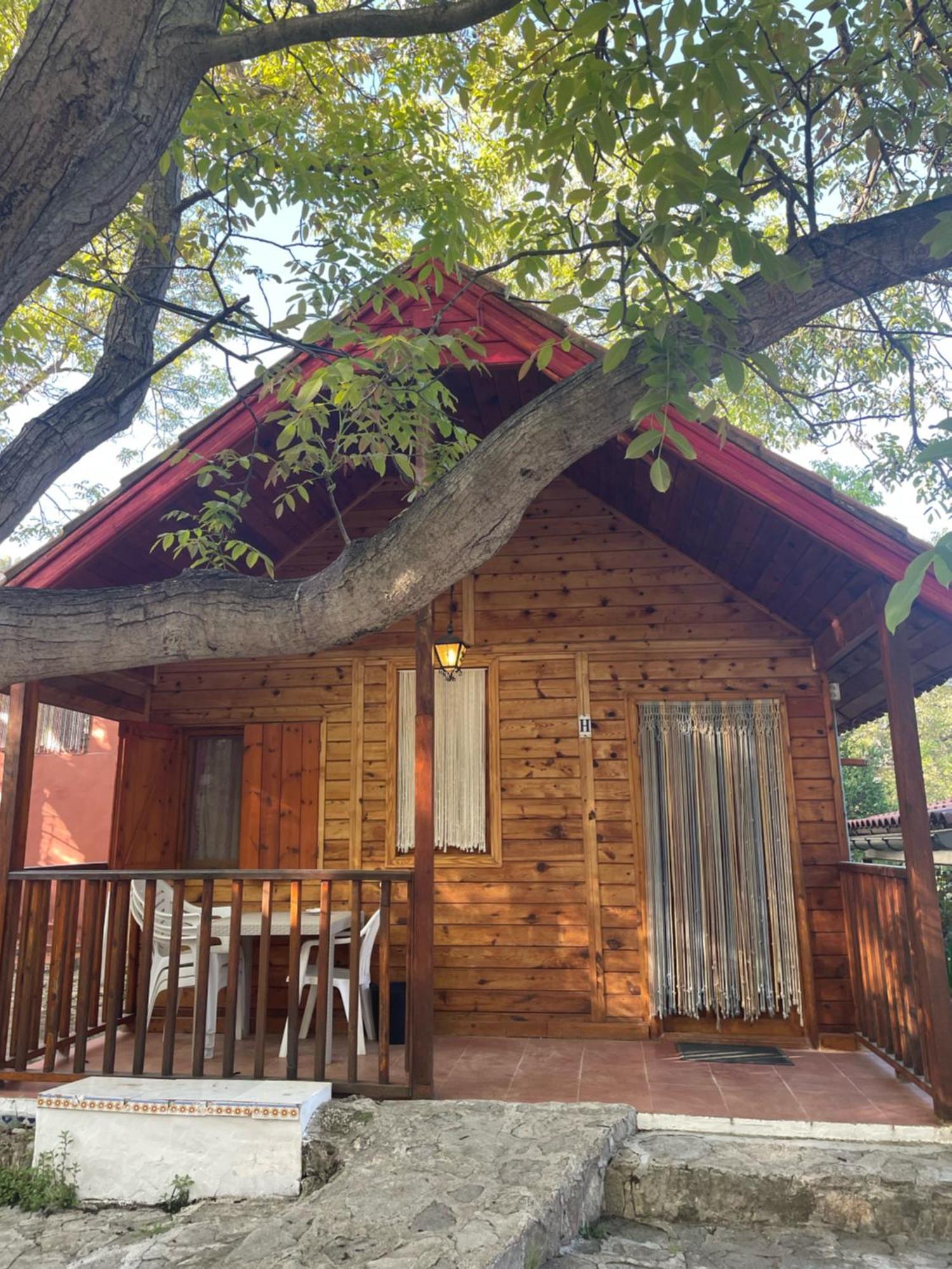 Cabanas De נרפיו מראה חיצוני תמונה