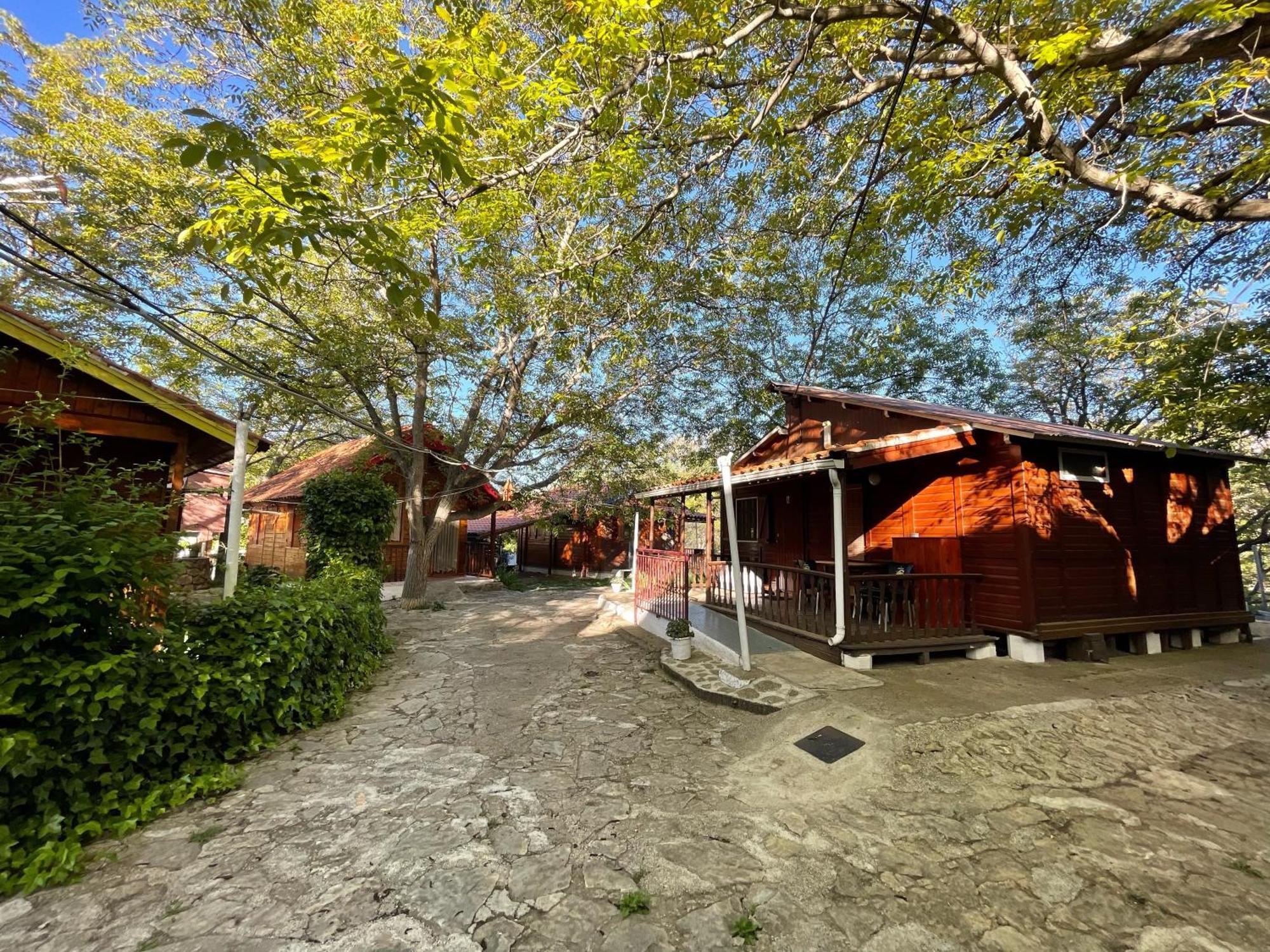 Cabanas De נרפיו מראה חיצוני תמונה